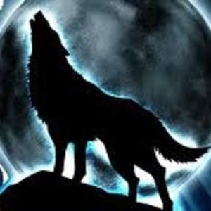 Meet your Posher, Exl